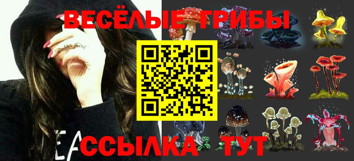 Галлюциногенные грибы Psilocybe Миасс